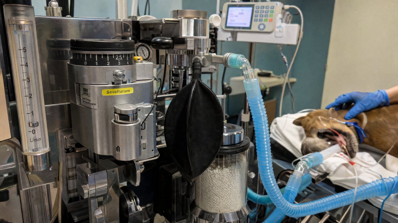Anesthesia machine with vaporizer and flowmeter